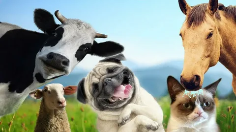 Marketing para Clínica Veterinária: Como Atraímos Mais Clientes Peludos